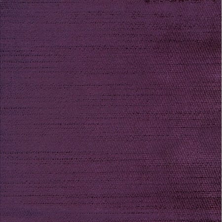 Eggplant 336