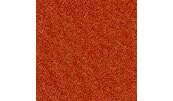 Sienna-62