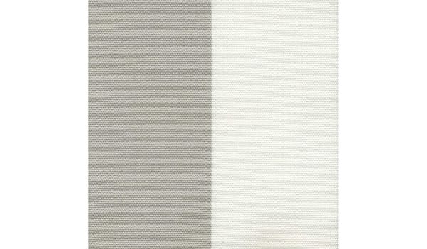 Silver 06