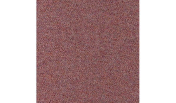 Sorbet 41