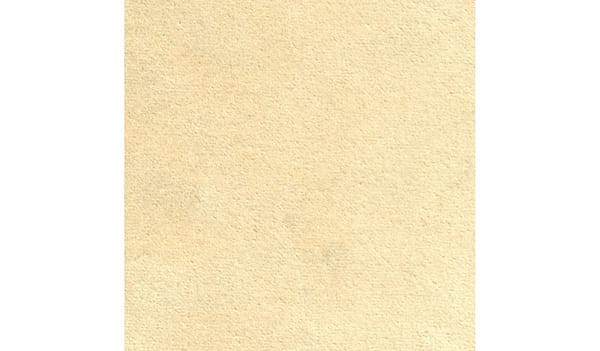 Tan 903