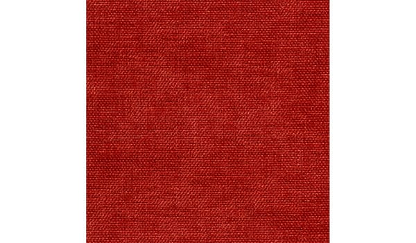 Tangarine 303