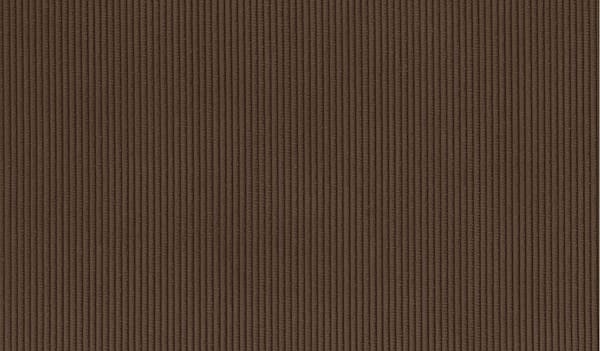 Walnut 17
