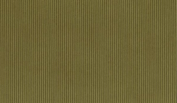 Army 21