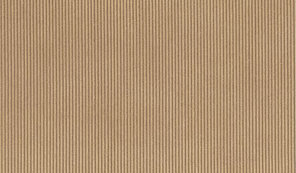Sepia 06