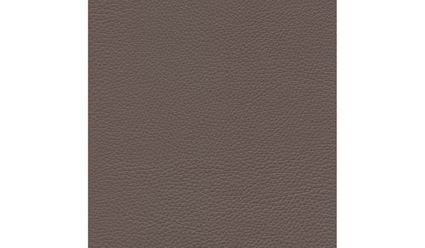 Taupe 43